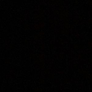 Meet your Posher, Roy